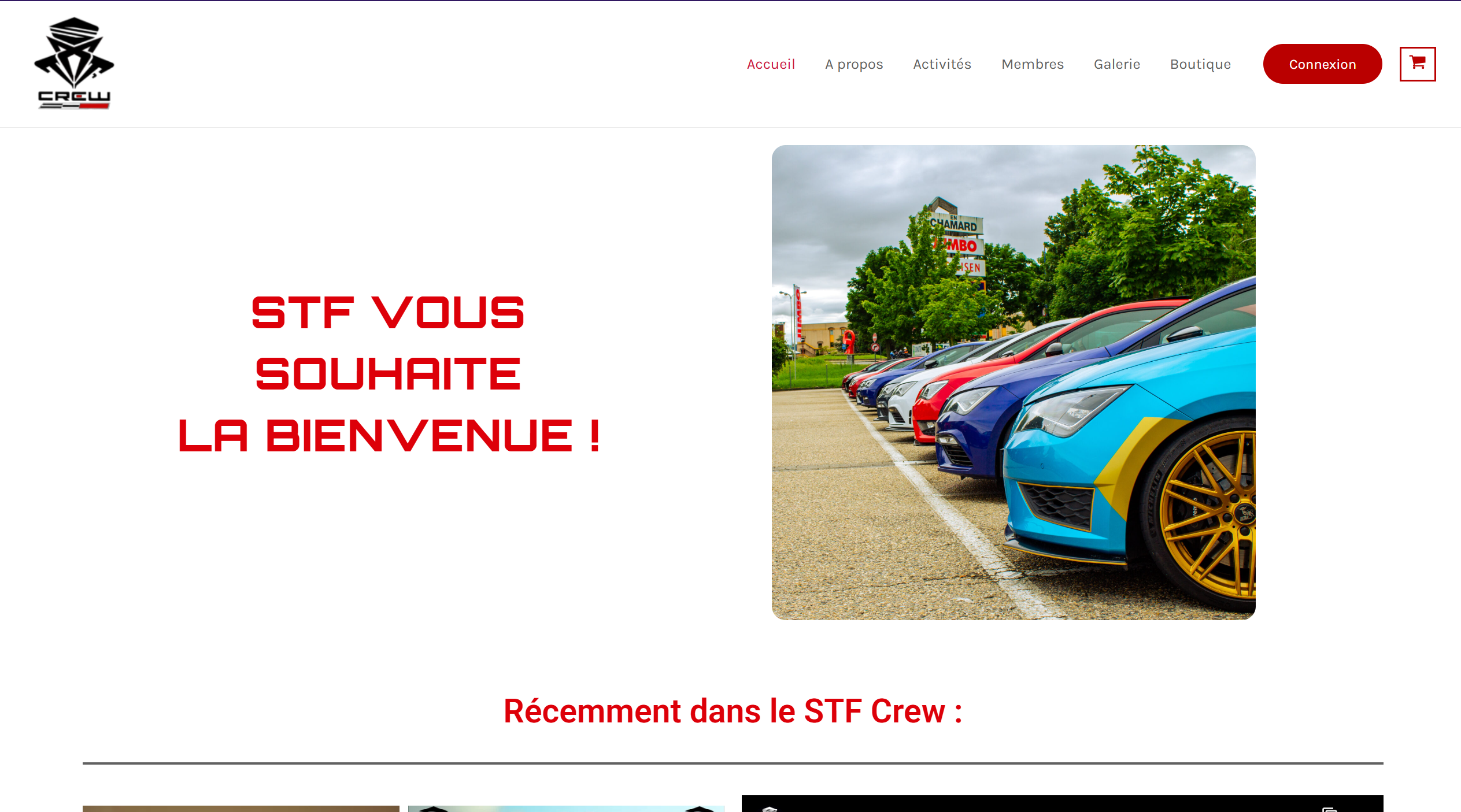 https://stf-crew.fr/